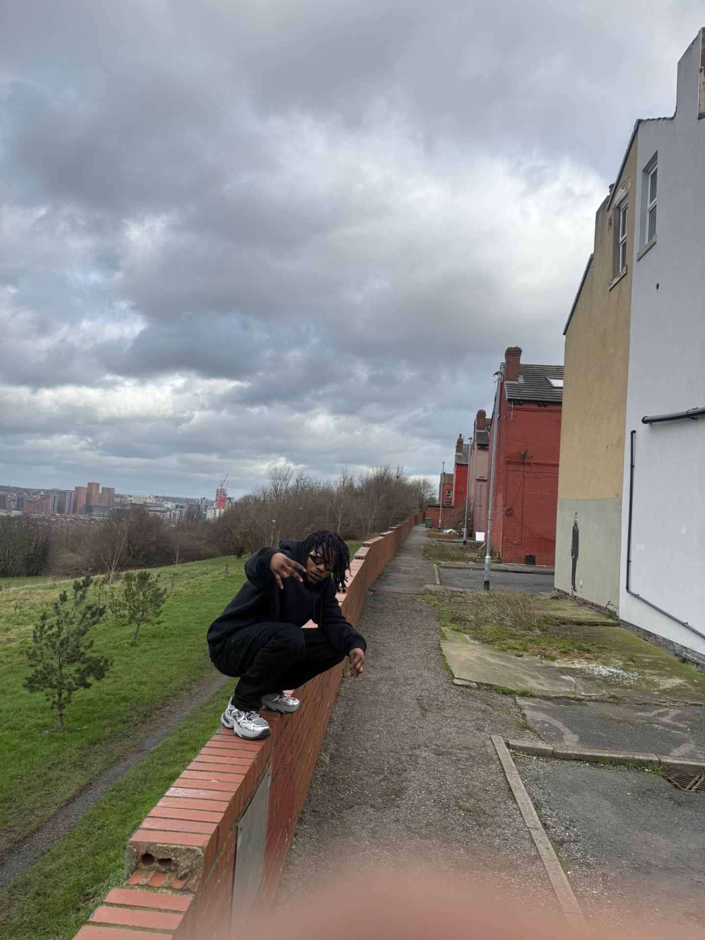 Crouched on a brick wall